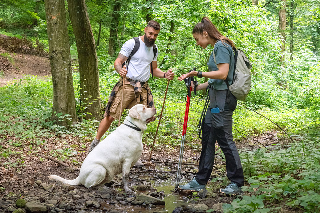 Couple in the wood with dog